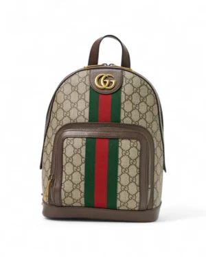 Gucci Zaino Ophidia Small GG Supreme Marrone