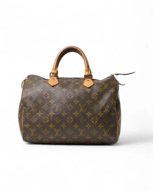 Louis Vuitton Speedy 30 Monogram