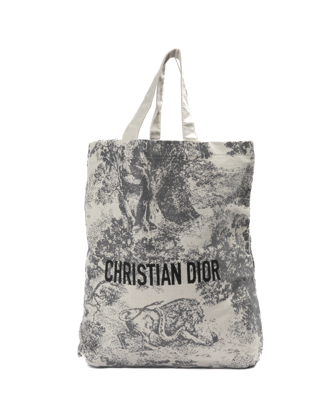 Dior Tote Small Toile De Jouy Grigia