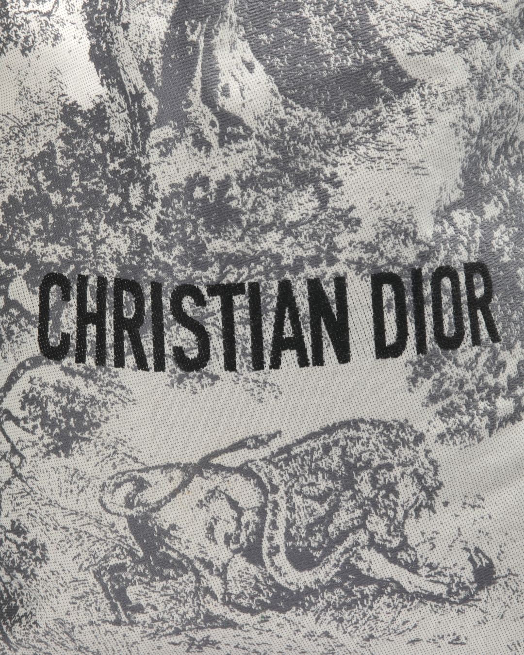 Alternative view of Dior Tote Small Toile De Jouy Grigia