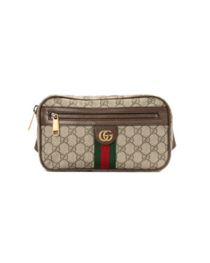 Gucci Marsupio Ophidia Zip Small GG Supreme Marrone