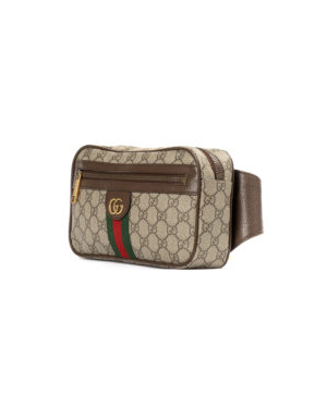 Alternative view of Gucci Marsupio Ophidia Zip Small GG Supreme Marrone